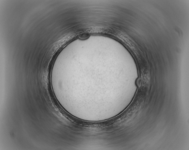 X0000112920485200909211056