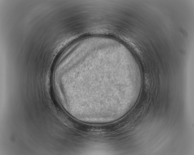 X0000112920487200909211056