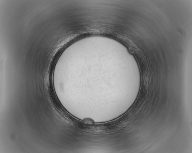 X0000112920488200909211056