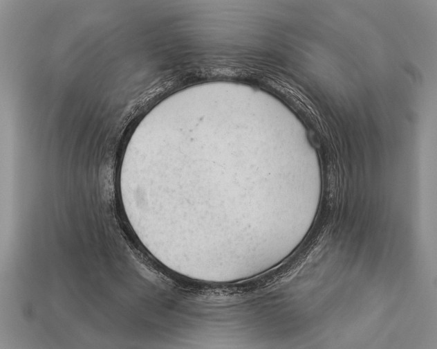 X0000112920489200909211056