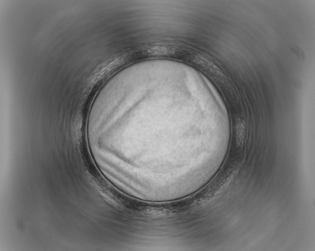 X0000112920490200909211056