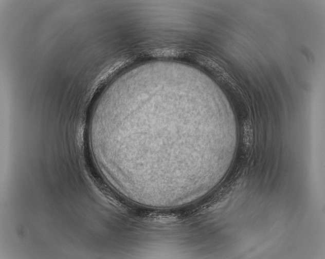 X0000112920491200909211056