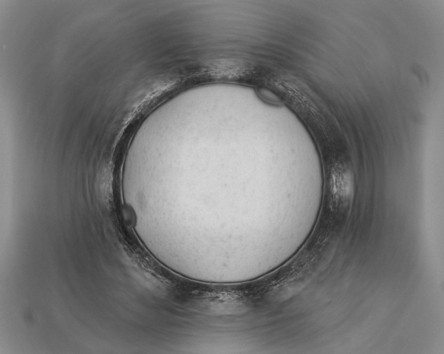 X0000112920492200909211056