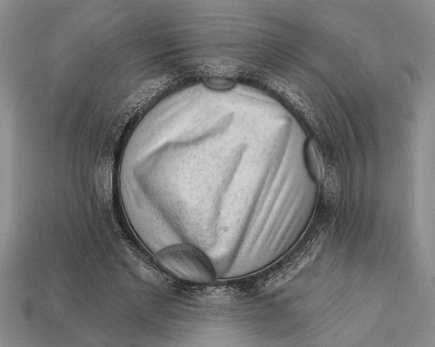X0000112920493200909211056