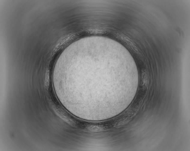 X0000112920494200909211056