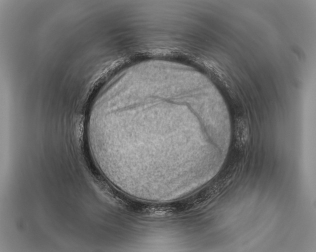 X0000112920495200909211056