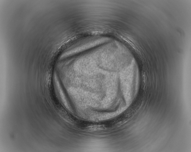 X0000112920499200909211056