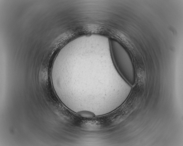 X0000112920500200909211056