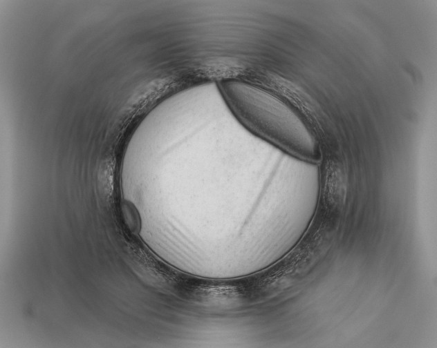 X0000112920501200909211055
