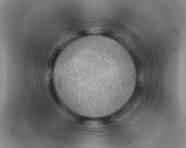 X0000112920503200909211055