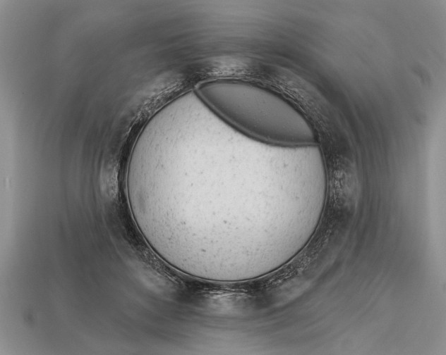 X0000112920504200909211055