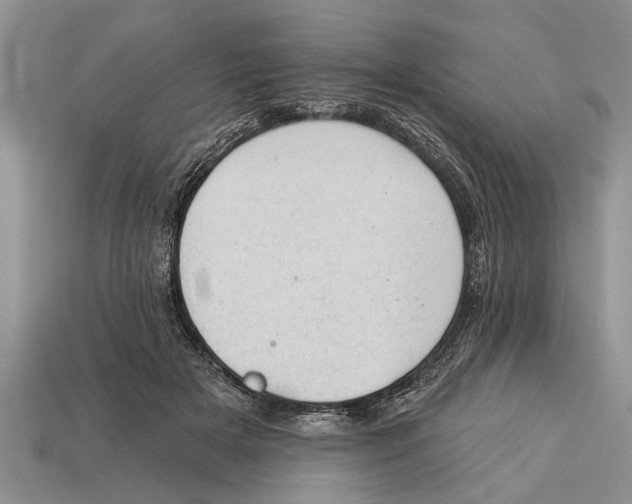 X0000112920505200909211055