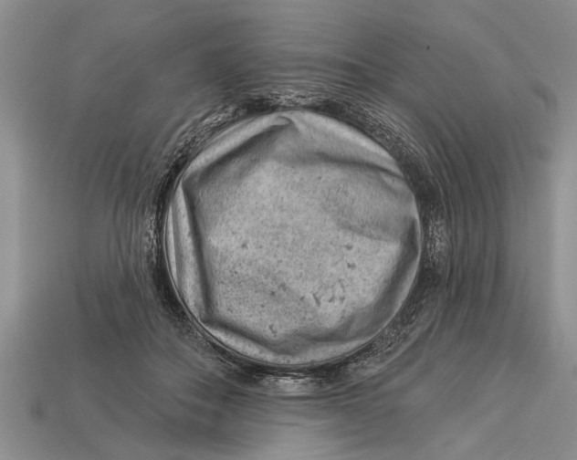 X0000112920506200909211055