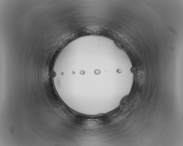 X0000112920508200909211055