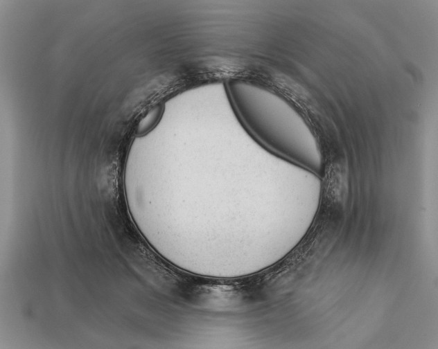 X0000112920509200909211055