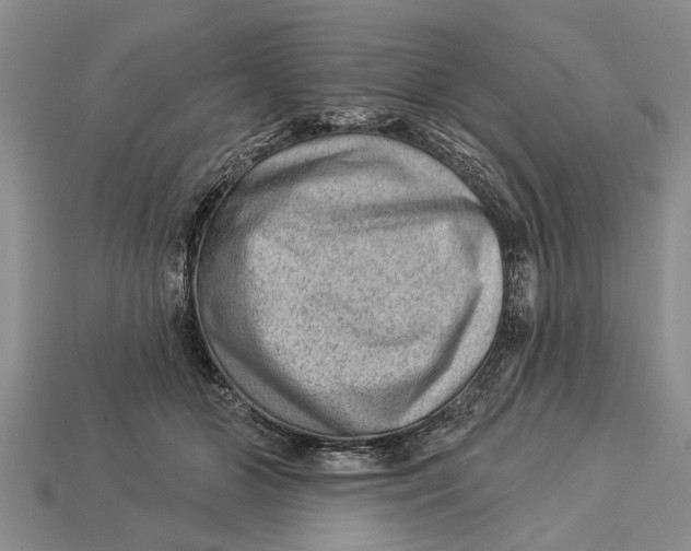 X0000112920510200909211055