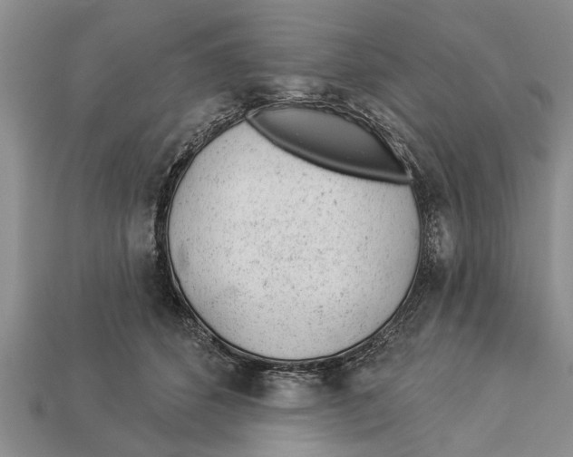 X0000112920512200909211055