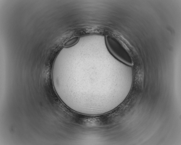 X0000112920513200909211055
