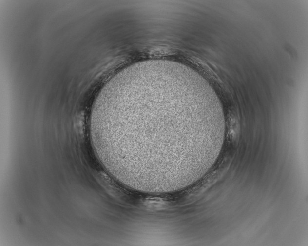 X0000112920519200909211055