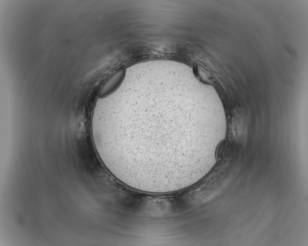 X0000112920520200909211055