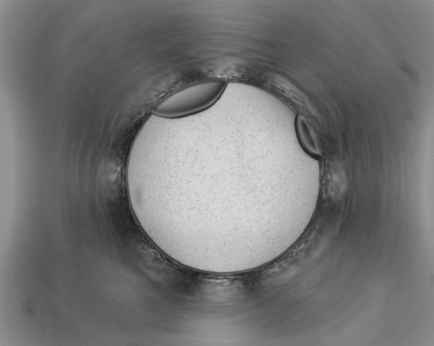 X0000112920521200909211055