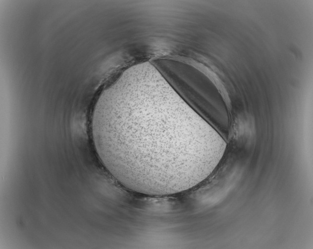 X0000112920524200909211055