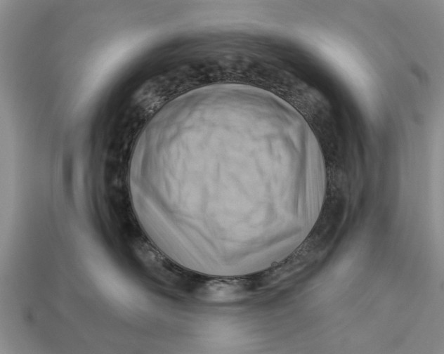 X0000112920526200909211055
