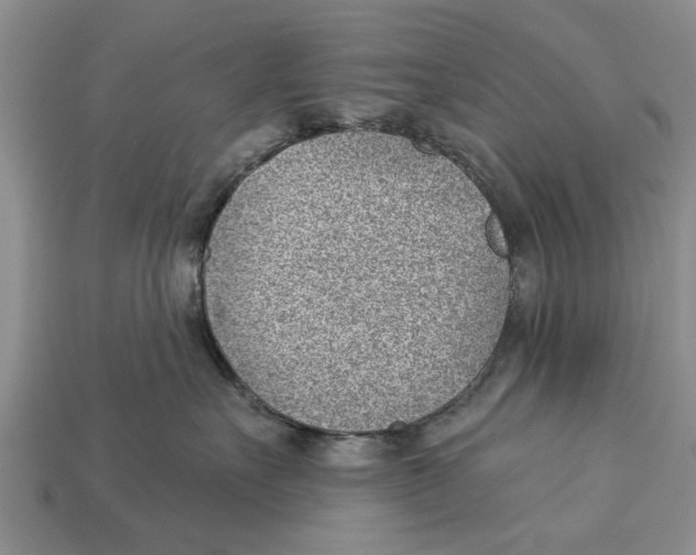 X0000112920527200909211055