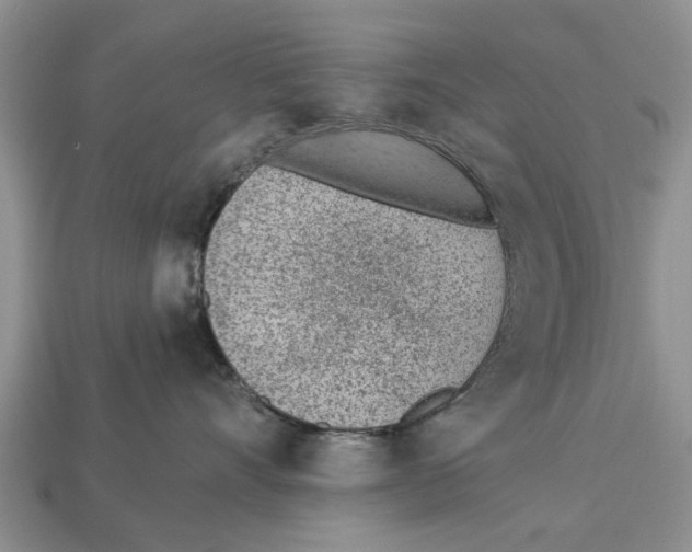 X0000112920528200909211055