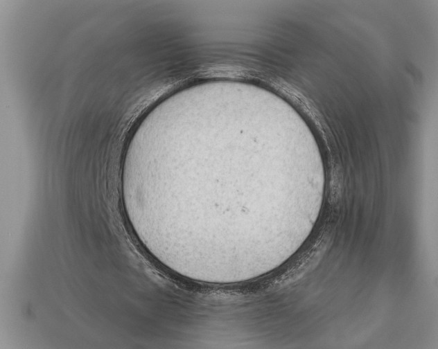X0000112920529200909211055