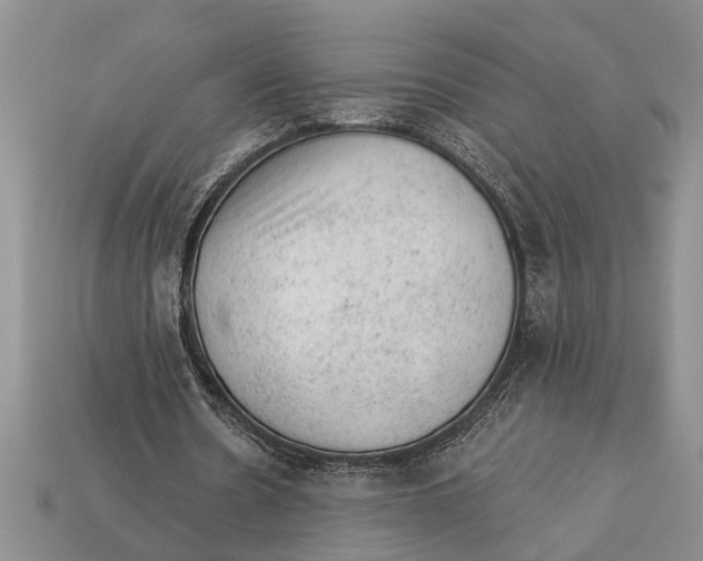 X0000112920530200909211055
