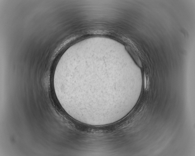 X0000112920531200909211055