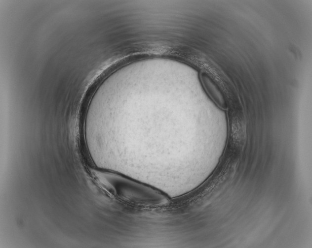 X0000112920532200909211055