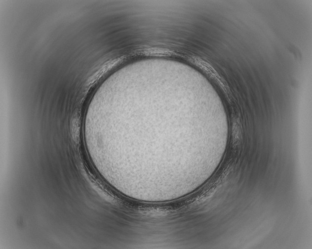 X0000112920533200909211055