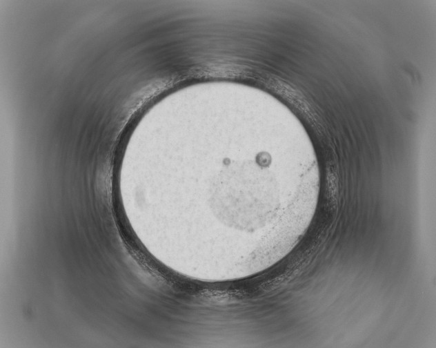 X0000112920534200909211055