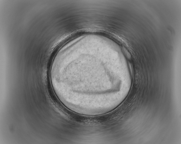 X0000112920535200909211055