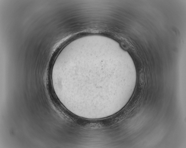 X0000112920536200909211055