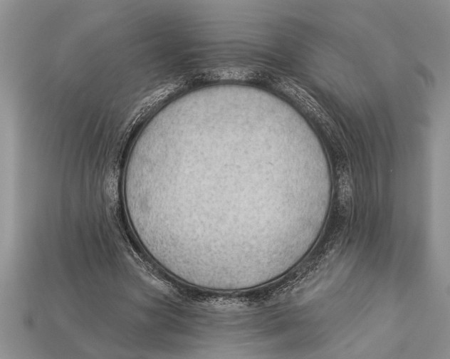 X0000112920537200909211055