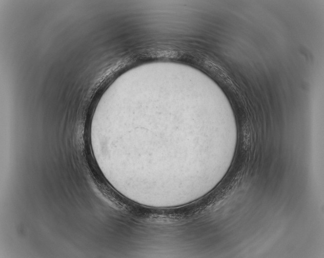 X0000112920538200909211055