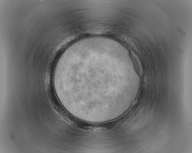 X0000112920539200909211055