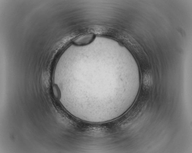 X0000112920540200909211055
