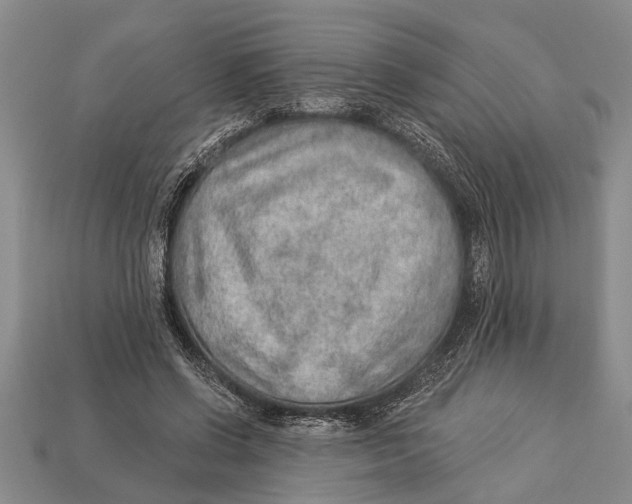 X0000112920542200909211055