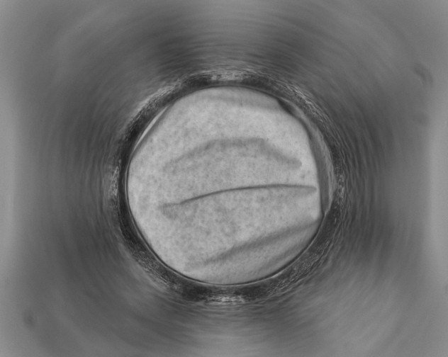 X0000112920543200909211055