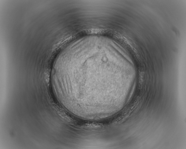 X0000112920545200909211055