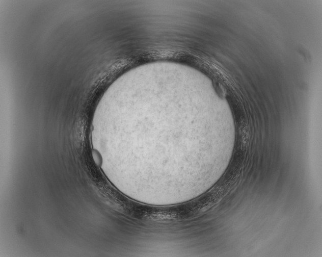 X0000112920546200909211055