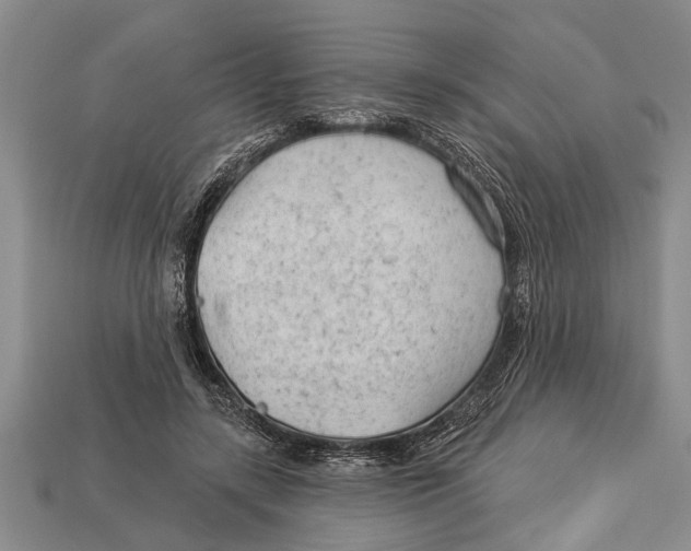 X0000112920547200909211055