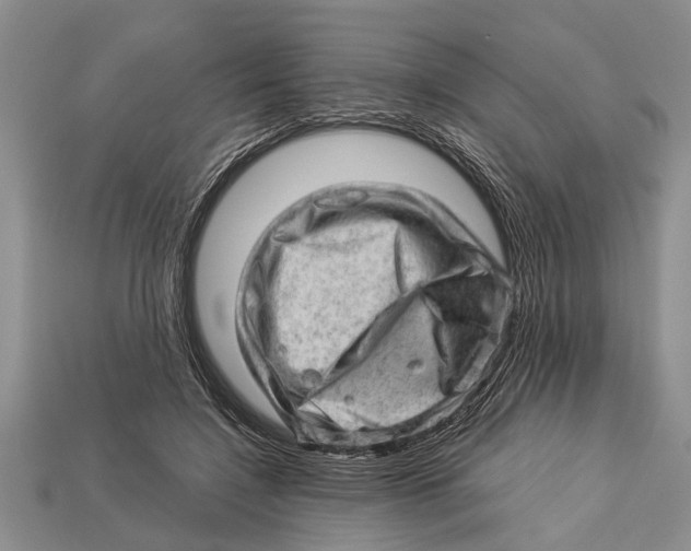 X0000112920548200909211055