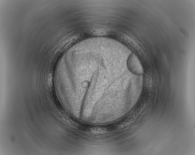X0000112920549200909211055
