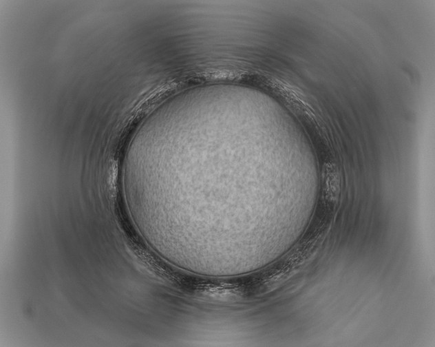X0000112920550200909211055