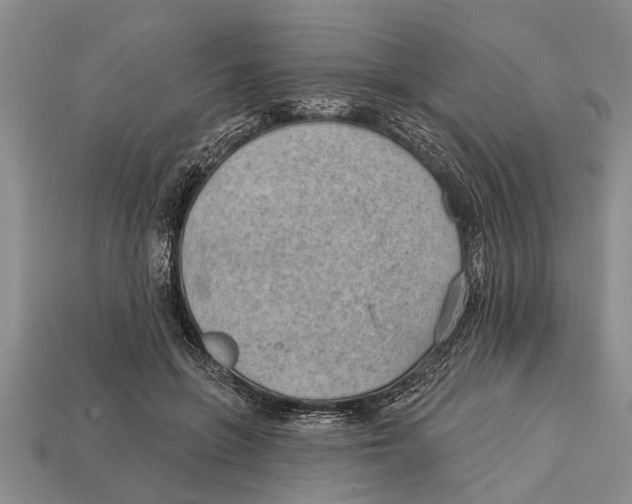 X0000112920551200909211055